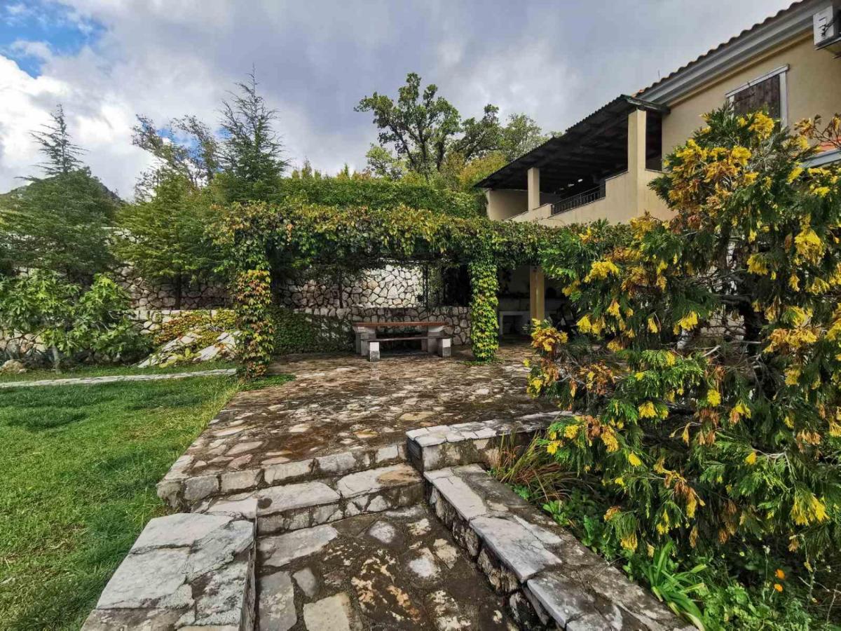 Villa Lux Provence Budua
