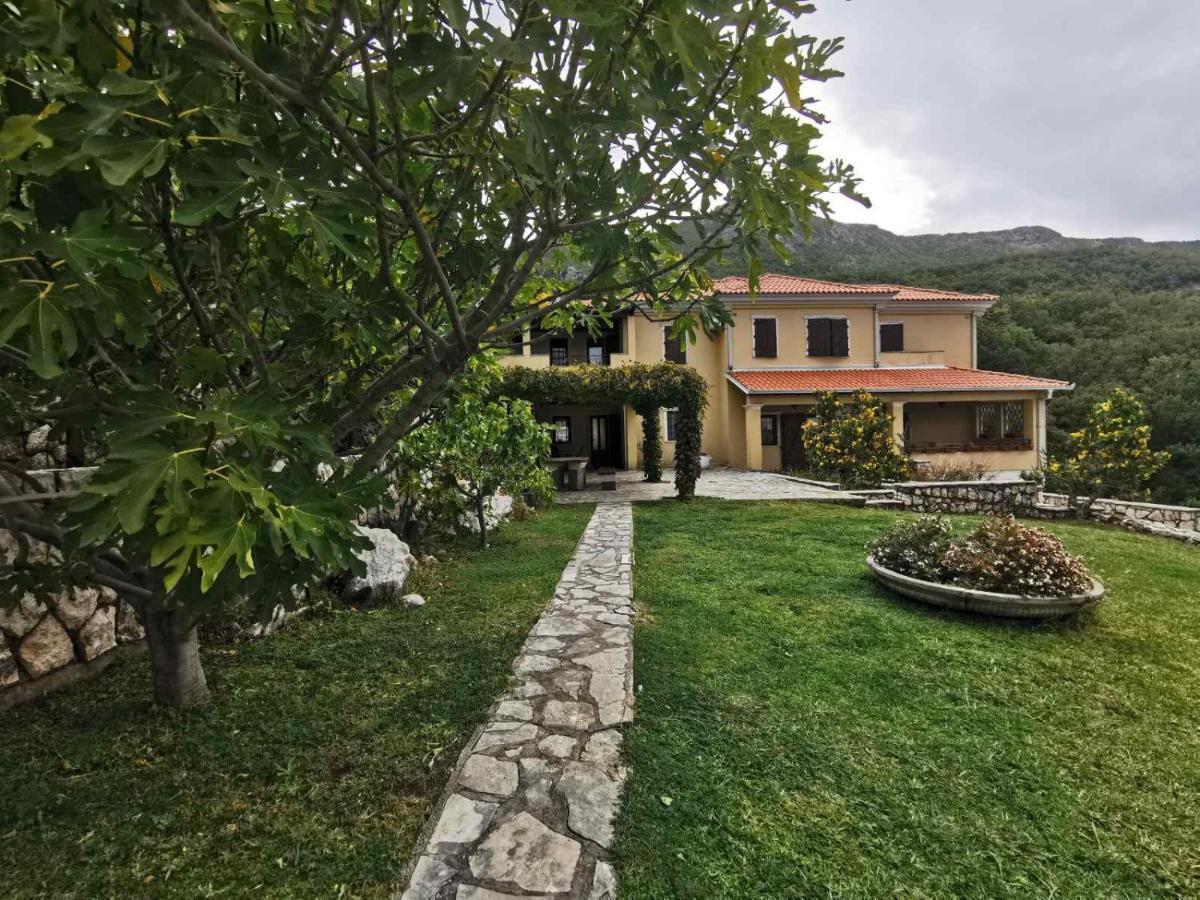 Lux Provence Budua